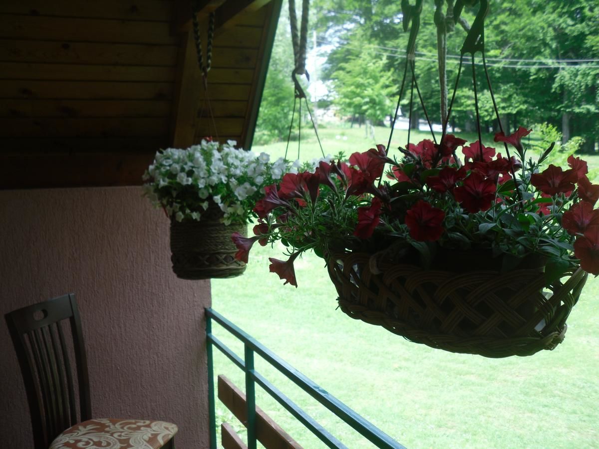 Шале House Jaksic Жабляк