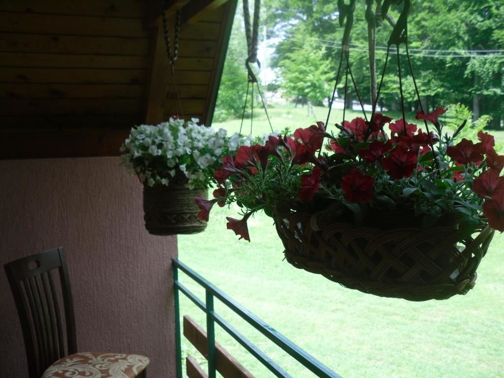 Шале House Jaksic Жабляк