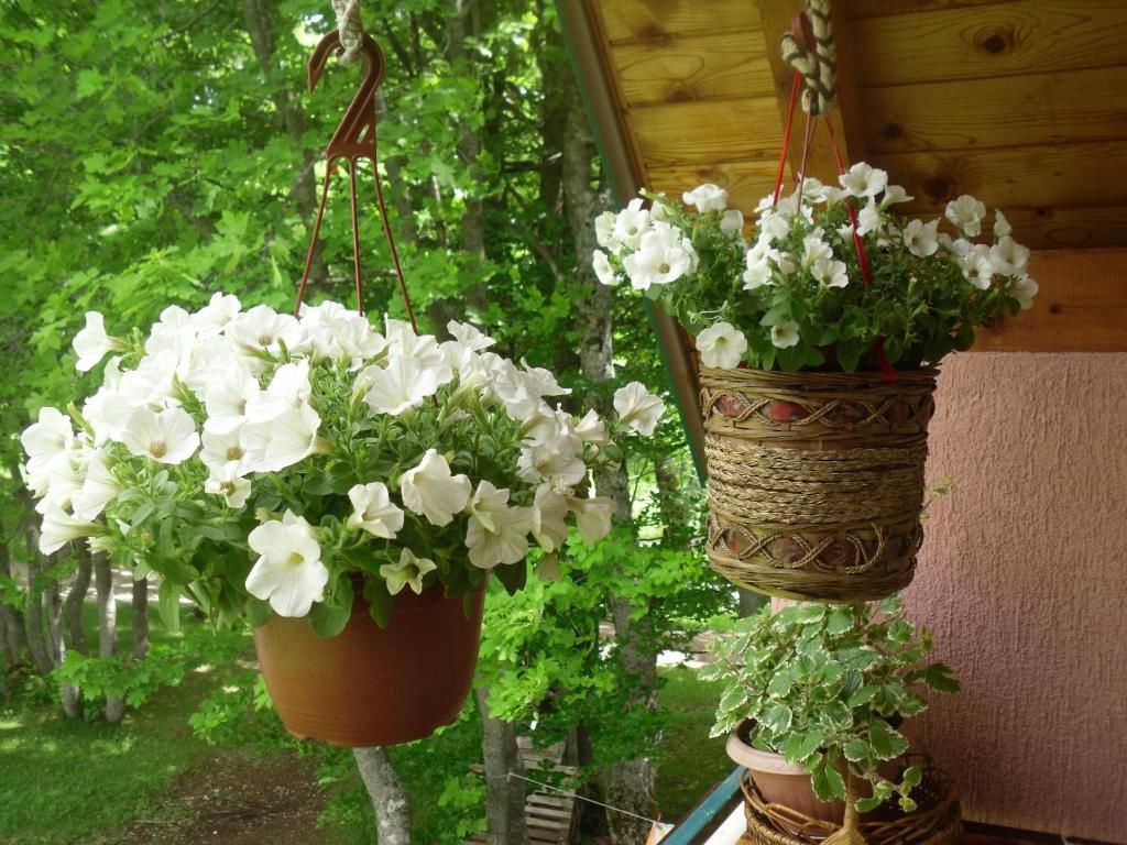 Шале House Jaksic Жабляк
