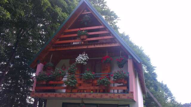 Шале House Jaksic Жабляк-3