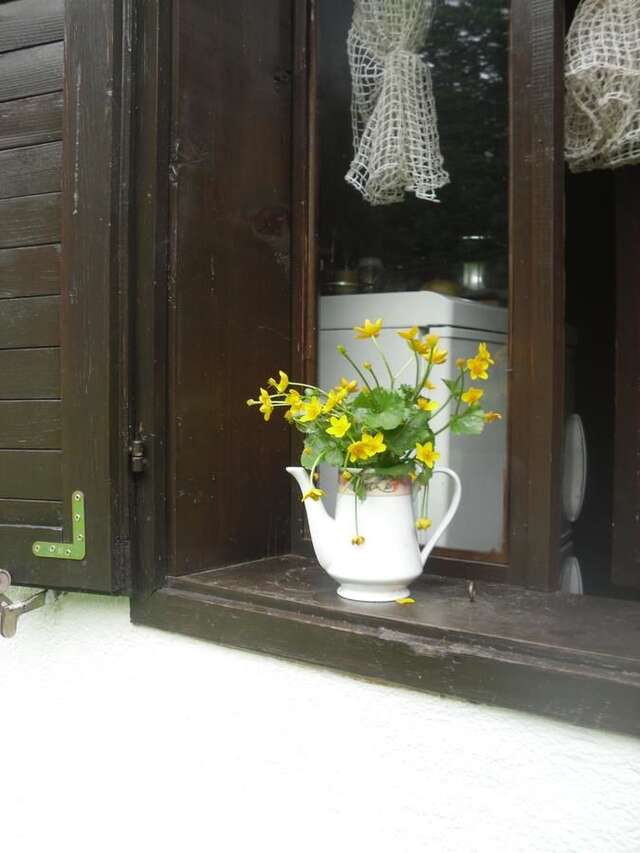 Шале House Jaksic Жабляк-28